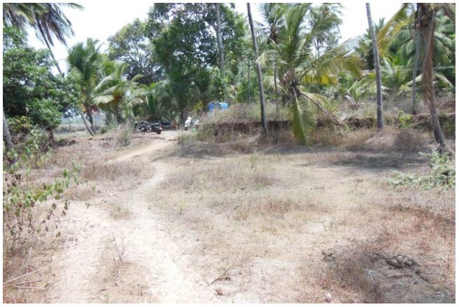 Plot for Sale in Benaulim