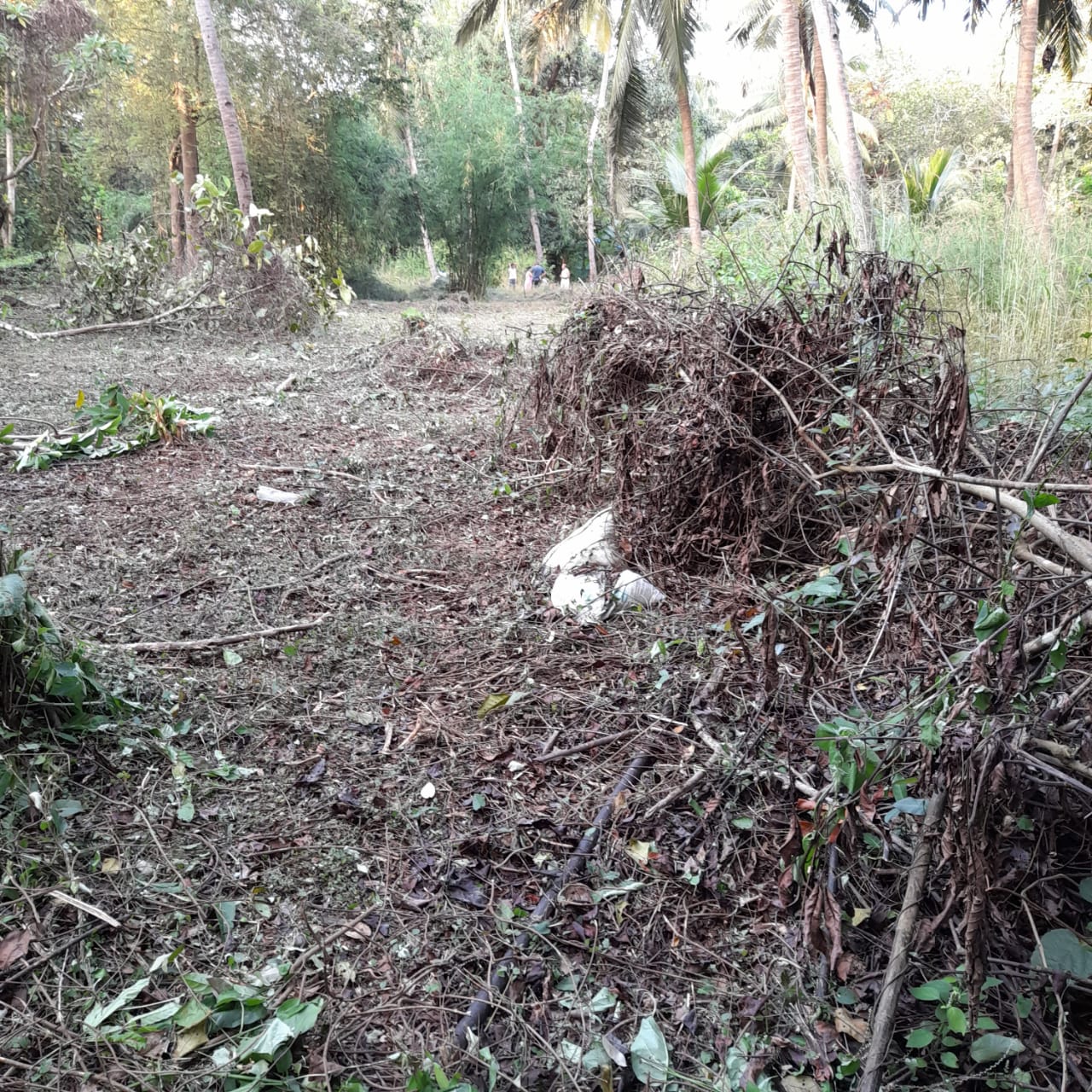 Property For Sale in Carmona Village