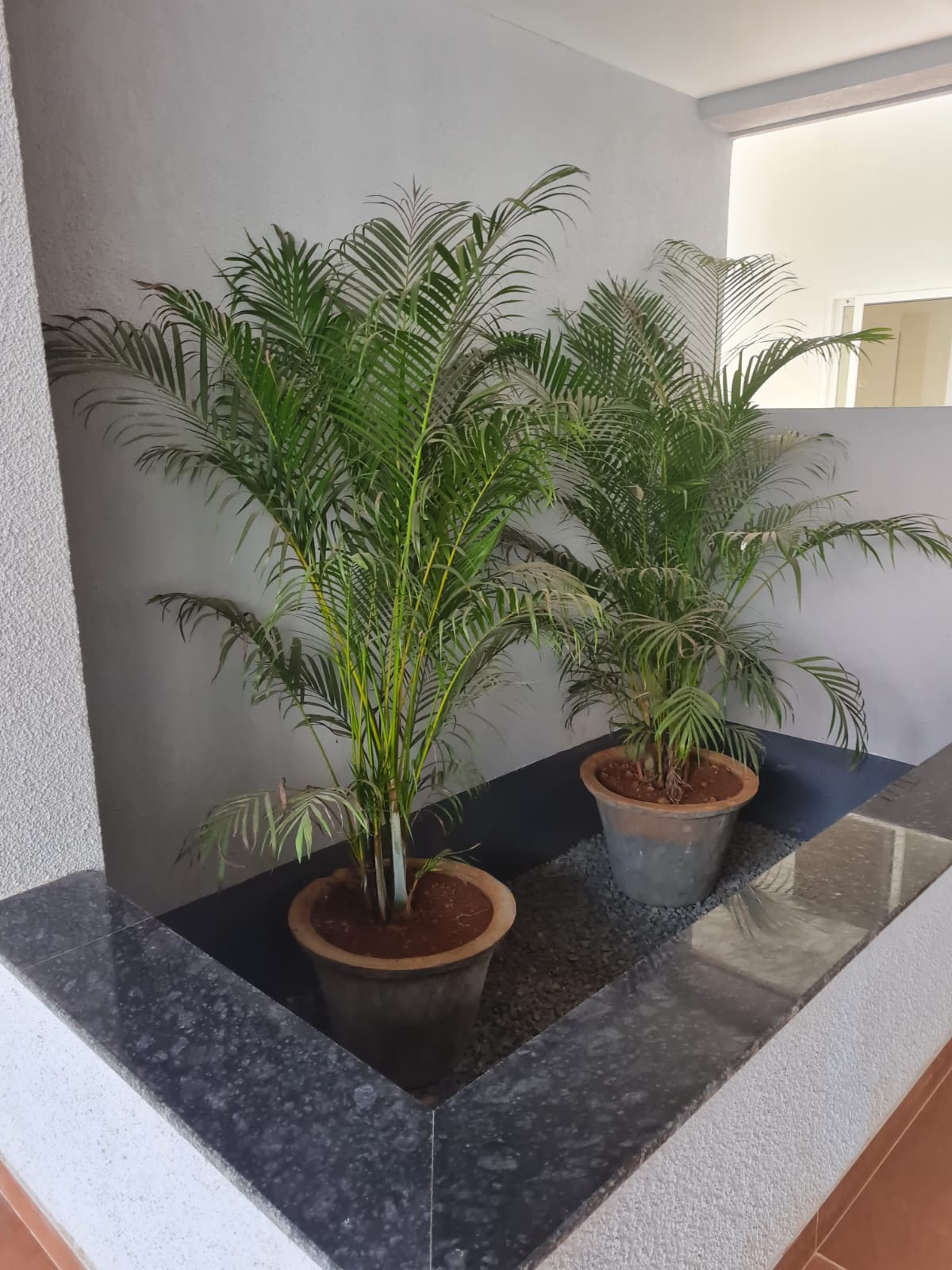 Discover Luxury Living at Central Park, Cuchelim, Mapusa